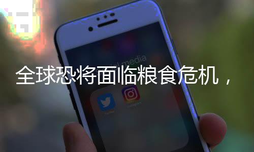 全球恐将面临粮食危机，中粮工科未来竞争力如何？